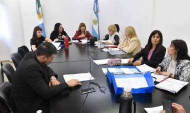 DESPACHO UNÁNIME DE LA COMISIÓN DE EDUCACIÓN A INICIATIVA QUE REGULA LAS ESCUELAS PÚBLICAS DE GESTIÓN SOCIAL 