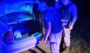PRETENDIA ESCAPAR DE UN CONTROL CON UN ANIMAL VACUNO PERO TERMINÓ DETENIDO