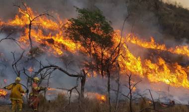 LA ESCANDALOSA CAMPAÑA FAKE DEL GOBIERNO SOBRE LOS INCENDIOS EN CÓRDOBA A LA QUE SE SUBIÓ MILEI 