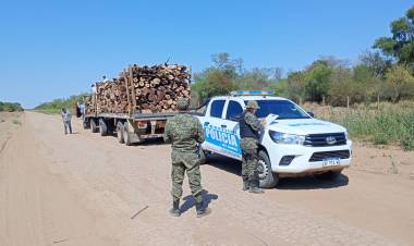 DECOMISAN UNA CARGA DE 18 TONELADAS DE LEÑA POR NO CONTAR CON LA GUÍA DE TRANSPORTE