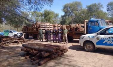 GUSTAVO VÁZQUEZ:"EL TRÁFICO ILEGAL DE MADERA ES ENORME Y SE PLANTEAN MEDIDAS URGENTES"
