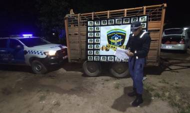 POLICÍA CAMINERA INTERVINO UNA CARGA VACUNA CON ANOMALÍAS EN LA DOCUMENTACIÓN