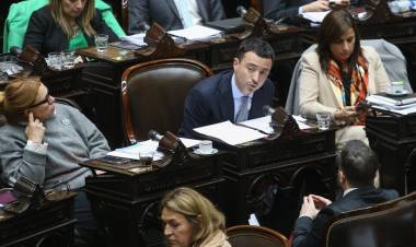 LA UCR DEFINE SI EXPULSA A LOS "RADICALES CON PELUCA" QUE APOYARON EL AJUSTE A LAS UNIVERSIDADES