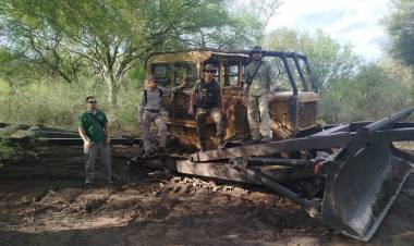 RURALES FRENAN DESMONTE CLANDESTINO