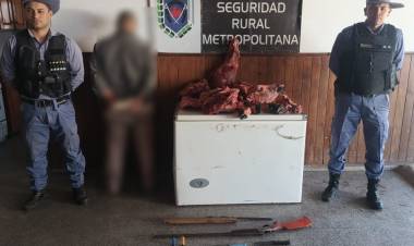 ALLANAMIENTO POR ABIGEATO: HAY UN HOMBRE DETENIDO Y CARNE FAENADA SECUESTRADA