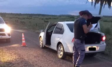CONTROL DESCUBRIÓ QUE LLEVABA UN CHANCHO ARISCO EN EL BAÚL