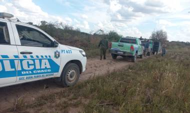 FRENAN UN DESMONTE ILEGAL EN UN CAMPO DE 40 HECTÁREAS