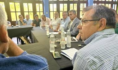 PRODUCCIÓN JUNTO AL SECTOR FORESTAL EN CASTELLI