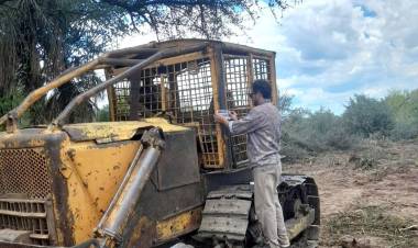 DETIENEN DESMONTE ILEGAL CERCA DE CASTELLI Y SECUESTRAN DOS TOPADORAS