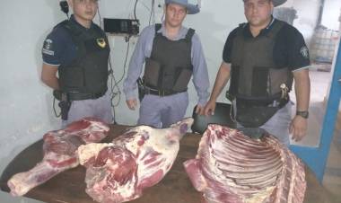 TRANSPORTABA MÁS DE 60 KILOS DE CARNE NO APTA PARA CONSUMO
