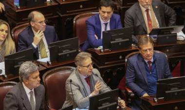 SENADORES RADICALES PIDIERON A VILLARRUEL LA CONTINUIDAD DEL CONGELAMIENTO DE LAS DIETAS