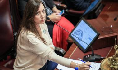 PARITARIA PRESIDENCIAL: VILLARRUEL DIJO QUE GANA "DOS CHIROLAS" Y MILEI LA CALIFICÓ DE CASTA