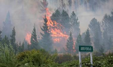 IGNACIO TORRES "RESUCITÓ" A LA RAM Y LA RESPONSABILIZÓ POR LOS INCENDIOS EN EPUYÉN