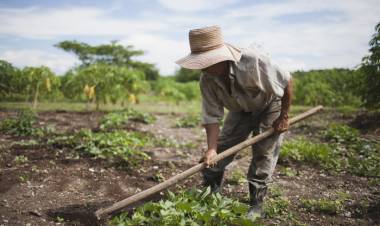 POR LA CRISIS, PEQUEÑOS AGRICULTORES PIDEN UNA REUNIÓN CON GOBERNADORES