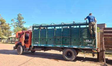 TRANSPORTABA ANIMALES PERO CON MARCAS Y SEÑALES INCOMPLETAS