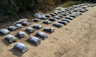 NUEVO GOLPE AL NARCOTRÁFICO: SE INCAUTÓ MÁS DE 50 KILOS DE MARIHUANA EN PARAJE PINDÓ
