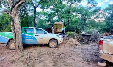 BOSQUES DETECTÓ DOS DESMONTES ILEGALES EN FUERTE ESPERANZA Y EN TACO POZO