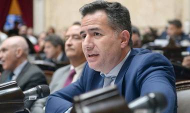 EL OFICIALISMO ADMITE QUE NO SERÁ SENCILLA LA SUSPENSIÓN DE LAS PASO EN EL SENADO