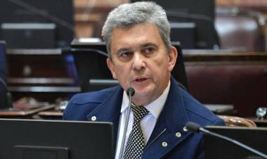 EL OFICIALISMO RECUPERA UN ALIADO CLAVE EN EL SENADO
