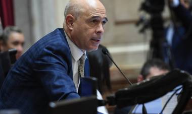 "SI EL SENADO LOS RECHAZA, NO DEBERÍAN SEGUIR" 