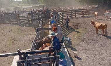 “EN CHACO SE COMBATE EL DELITO”, ASEGURÓ EL MINISTRO MATKOVICH