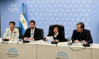 EN SINTONÍA CON EL PEDIDO DE MILEI, LLA Y EL PRO APURAN LA BAJA EN LA EDAD DE IMPUTABILIDAD