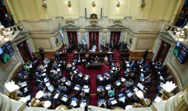 EL SENADO APURA UNA DEFINICIÓN TRAS EL RECHAZO DE LA CORTE A LA LICENCIA DE LIJO