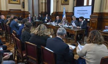 PARA BLINDAR EL DNU DE LA DEUDA CON EL FMI