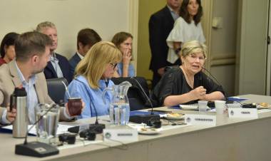CHACO PRESENTE EN EL CONSEJO FEDERAL DE EDUCACIÓN: LAS JURISDICCIONES AVANZAN EN LOS PLANES DE ALFABETIZACIÓN Y EVALUACIÓN DE APRENDIZAJES