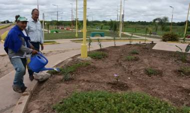 EL MUNICIPIO AVANZA CON LA REPOSICIÓN DE PLANTAS FLORALES EN DISTINTOS PUNTOS DE LA CIUDAD