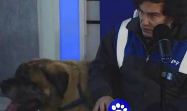 JAVIER MILEI APARECIÓ CON SU PERRO CONAN EN UN PROGRAMA DE STREAMING