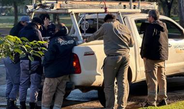LUCHA AL FRAUDE ELÉCTRICO: EN SÁENZ PEÑA, SECHEEP ELIMINÓ CONEXIONES CLANDESTINAS EN EL BARRIO NALÁ