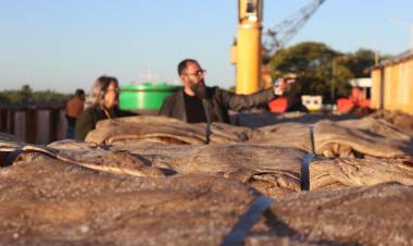 EXPORTACIÓN HISTÓRICA DESDE EL PUERTO DE BARRANQUERAS: SALIDA DEL PRIMER CARGAMENTO DE CUERO SALADO CON DESTINO A CHINA