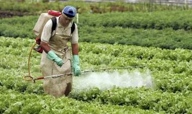 EL GOBIERNO RECUERDA QUE ESTÁ PROHIBIDO APLICAR HERBICIDAS HORMONALES EN CHACO, DESDE EL 1 DE AGOSTO AL 31 DE MARZO
