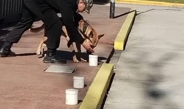 TRES SUBOFICIALES CHAQUEÑOS SE CONVIERTEN EN GUÍAS DE CANES DETECTORES DE NARCÓTICOS