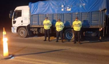 CAMINERA INTERCEPTÓ CAMIÓN CON PEDIDO, INTERVINO CARGA FORESTAL Y ATRAPÓ A JOVEN CON DROGA