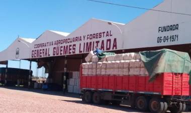 EL ALGODÓN NO TUVO UN BUEN AÑO PERO LAS EXPECTATIVAS SE RENUEVAN