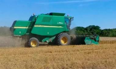EL CHACO CONSOLIDA UNA CAMPAÑA AGRÍCOLA Y VUELVE A APOSTAR AL CRECIMIENTO DEL ALGODÓN