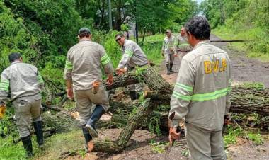 VIALIDAD PROVINCIAL TRABAJA EN COLONIA BENÍTEZ, TRAS EL TEMPORAL
