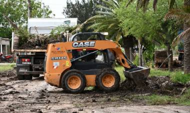NUEVOS TRABAJOS DE RECOLECCIÓN DE RAMAS Y PERFILADO DE CALLES EN LA CIUDAD 