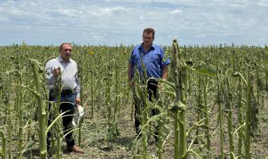 EL MINISTERIO DE LA PRODUCCIÓN RELEVÓ LOS DAÑOS POR LA TORMENTA EN HERMOSO CAMPO Y EN MESÓN DE FIERRO