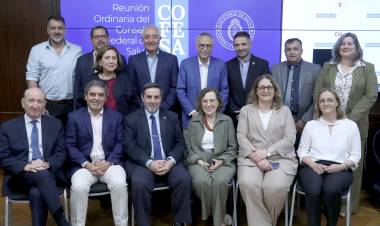 CONSEJO FEDERAL DE SALUD: CHACO ACOMPAÑÓ LA PRESENTACIÓN DEL NUEVO TABLERO DE MONITOREO NACIONAL DE VACUNACIÓN