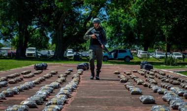 UN PRECINTO SOSPECHOSO, UNA PERRA ATENTA Y 338 KILOS DE MARIHUANA BAJO LAS CAJAS DE REPELENTES