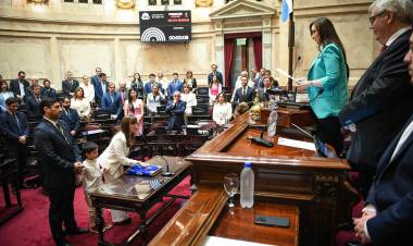 SILVANA SCHNEIDER JURÓ COMO SENADORA NACIONAL