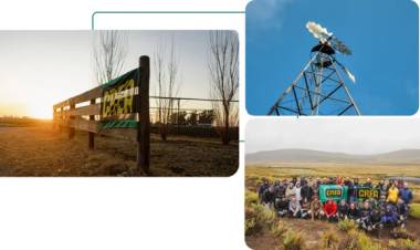 EL CAMPO ESPERA POR EL PLAN MILEI: LA SIEMBRA SERÁ MENOR EN 2026 Y "NO ES BUEN MOMENTO PARA INVERTIR"