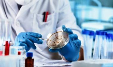 AVANCE CIENTÍFICO EN AUSTRALIA: CREAN UN CATÁLOGO DE CÁNCER INFANTIL PARA IMPULSAR LA INMUNOTERAPIA