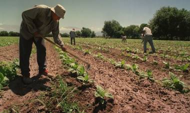 TRABAJO AGRARIO FIJA NUEVAS REMUNERACIONES MÍNIMAS PARA 11 ACTIVIDADES RURALES