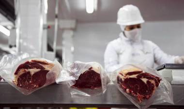AGRICULTURA DISTRIBUYÓ LA CUOTA HILTON DE CARNE BOVINA PARA EL PERÍODO 2025/2026