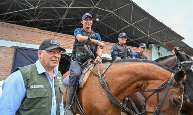 PROTECCIÓN AL CAMPO: ACCIONES Y RESULTADOS EN MATERIA DE SEGURIDAD RURAL DURANTE 2025