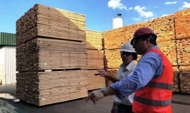 TODA LA CADENA FORESTO-INDUSTRIAL DEMANDA RESPUESTAS A LOS PODERES PÚBLICOS